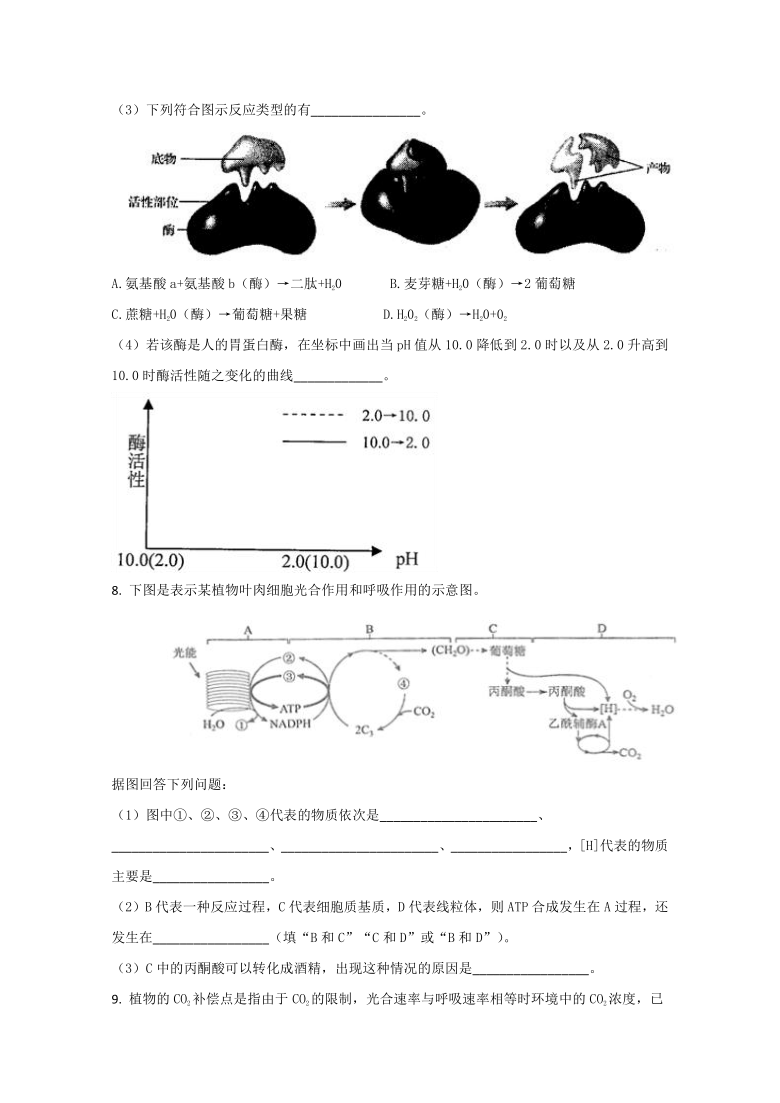 云南省文山市二中2019-2020学年高二下学期期末考试生物试卷  解析版