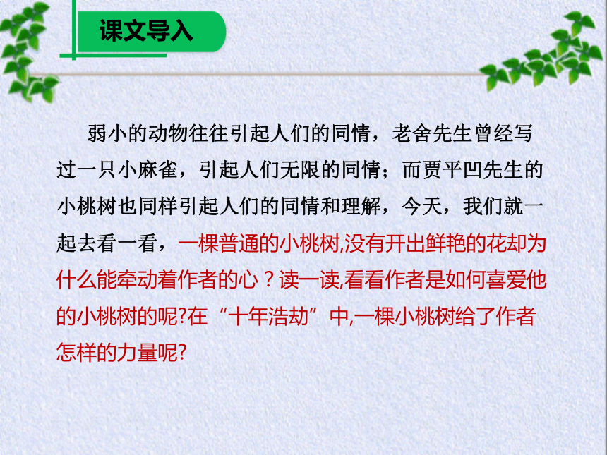 18 一棵小桃树 课件