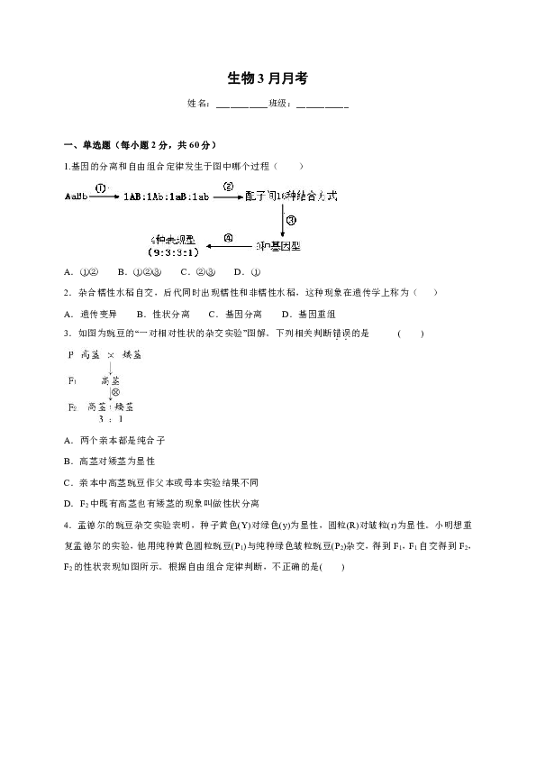 湖南省永州市第四中学2019-2020学年高一3月月考生物试题（答案含解析）