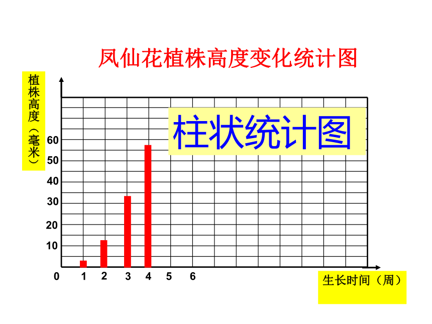 5茎越长越高 课件(27张PPT)