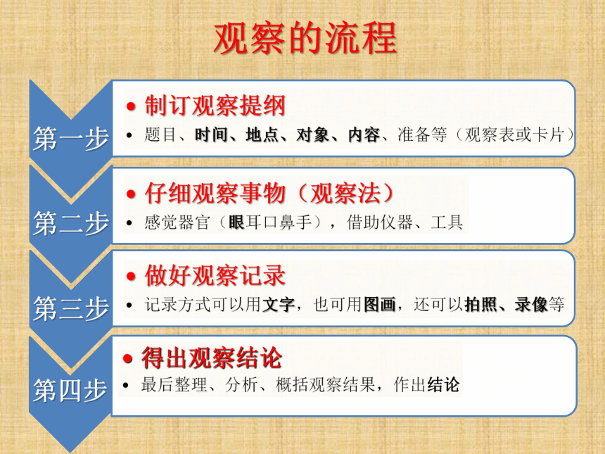 通用版三年级综合实践 走进综合实践活动 课件（14张）