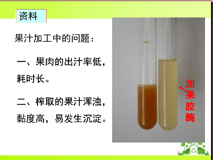 人教版高中生物选修一专题四课题1 果胶酶在果汁生产中的作用  课件共24张PPT