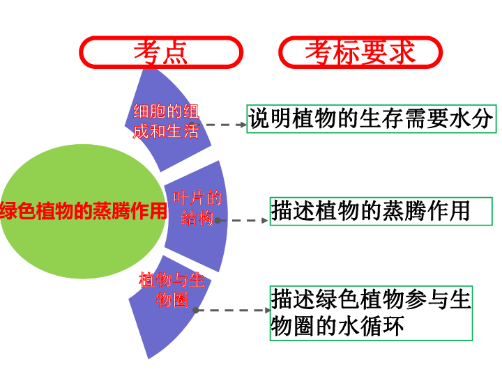 绿色植物参与生物圈的水循环（课件+学案）（打包2份））