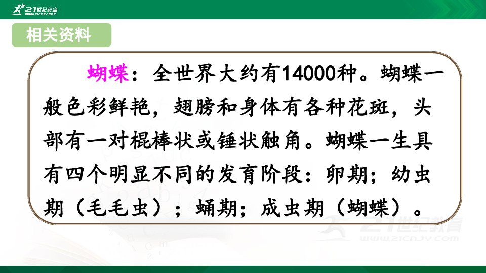 人教部编版二下语文22课毛毛虫 课件