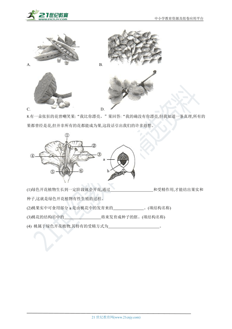 苏教版2020-2021学年度八年级生物下册寒假专题测试（2）植物的有性生殖（含解析）