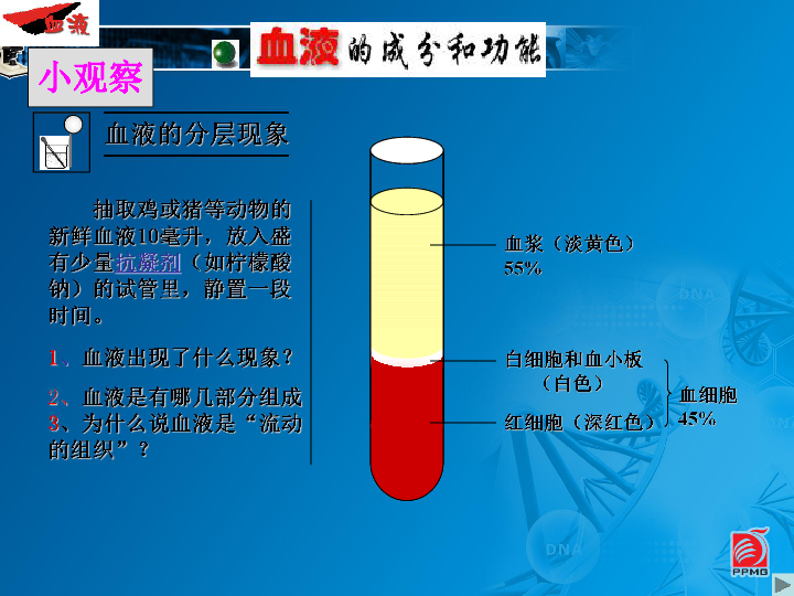 物質運輸的載體(24張)