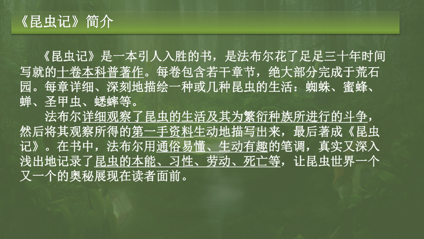 课件预览
