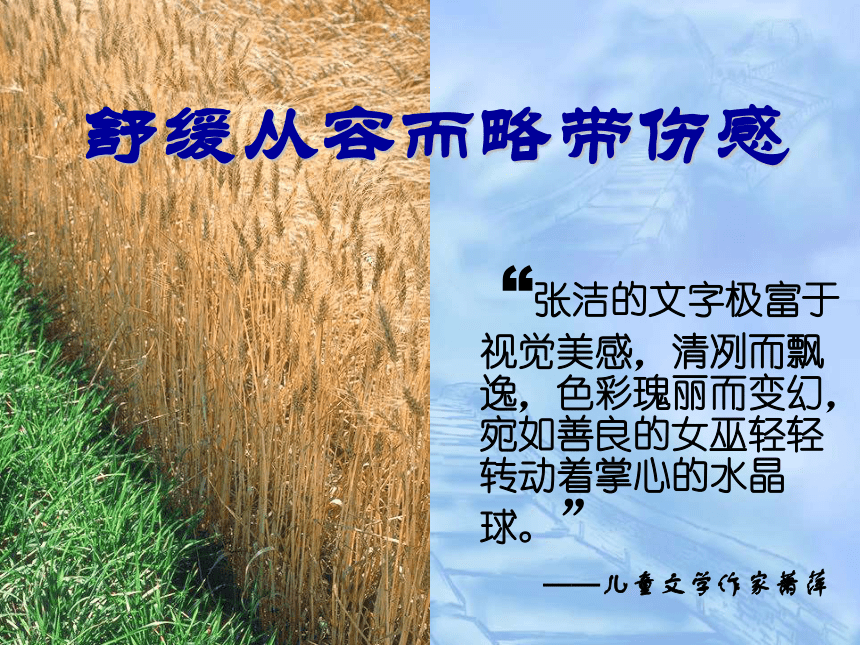 人教版（西藏汉语）第六册课内学习 8*拣麦穗 课件