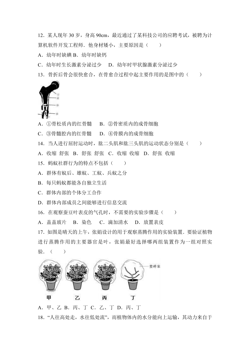 江苏省苏州市太仓市2016-2017学年八年级（上）期末生物试卷（解析版）