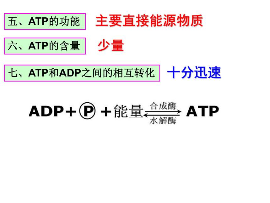 苏教版必修1第四章第一节酶与ATP（共58张PPT）