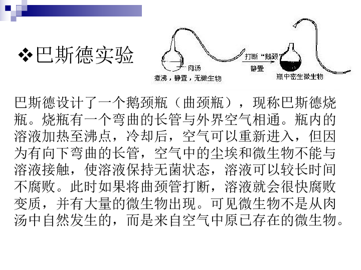 甘肃省高台县城关初级中学苏教版生物八年级下册23.1源远流长的发酵技术 课件(共14张PPT)