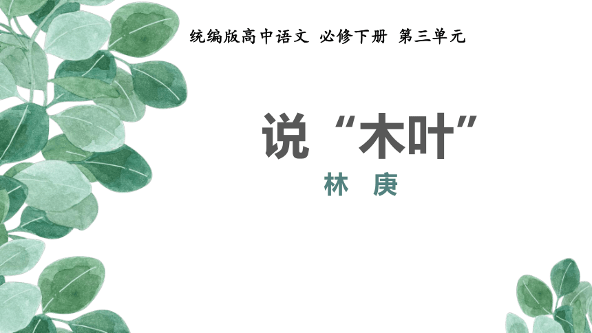 统编版高中语文必修下册第三单元9说木叶课件23张ppt