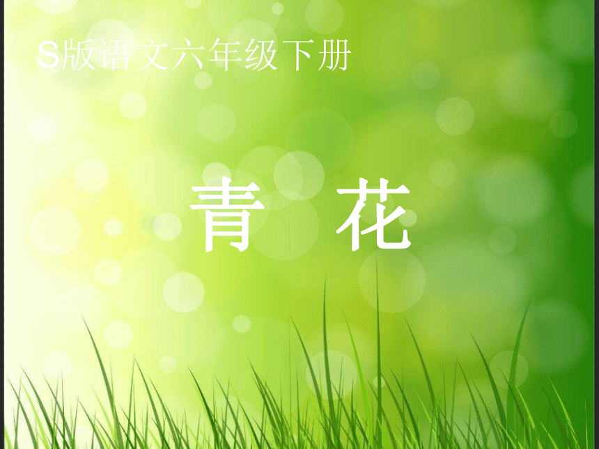 青花   课件  (共29张PPT)