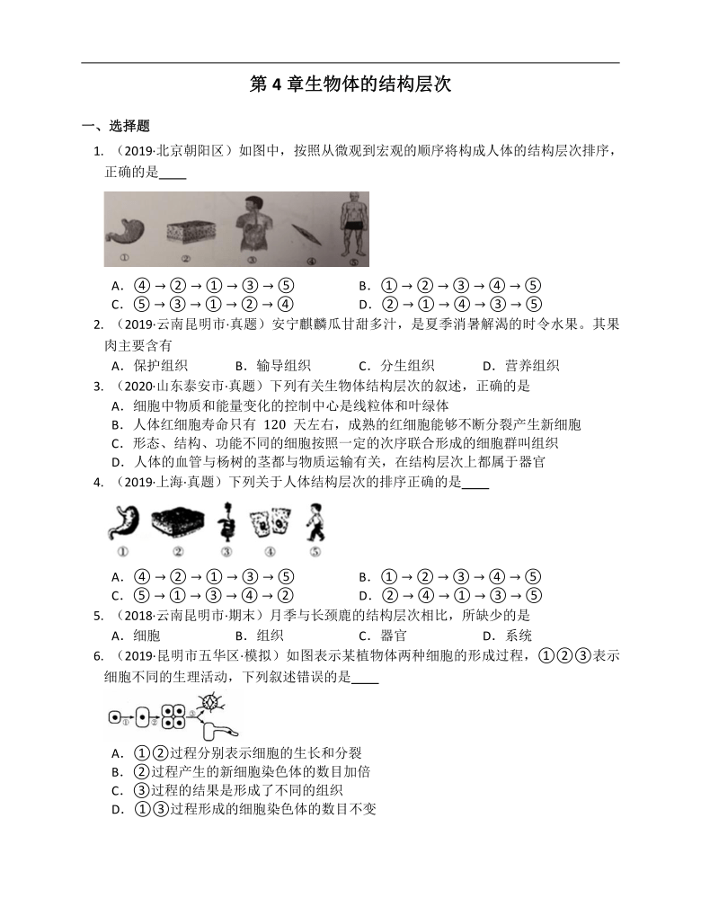 北师大版七年级生物上册第4章生物体的结构层次单元练习（word版含解析）