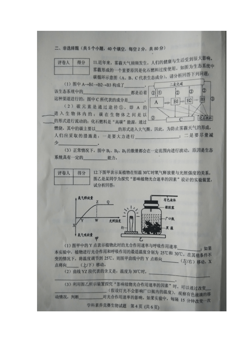 山东省肥城市2017届九年级生物下学期学科素养大赛试题（初赛）（扫描版含答案）