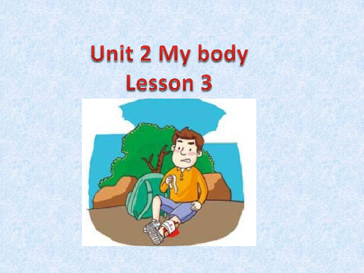 unit 2 My body lesson 3 课件（共15张PPT）