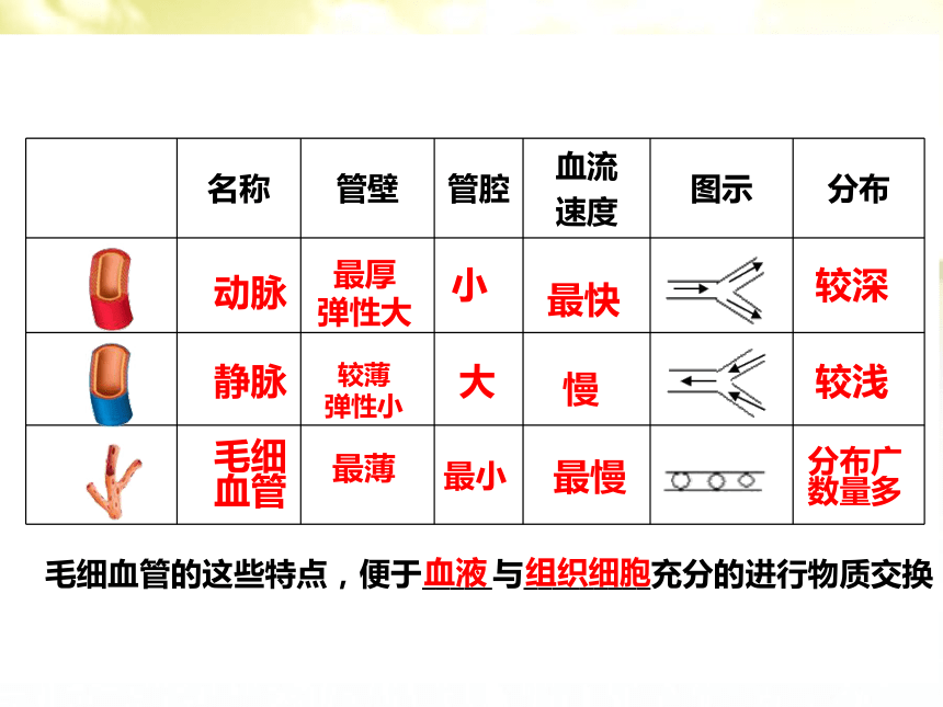 人教版七年级生物下册第四单元第四章第三节输送血液的泵-心脏 课件（共35张PPT）