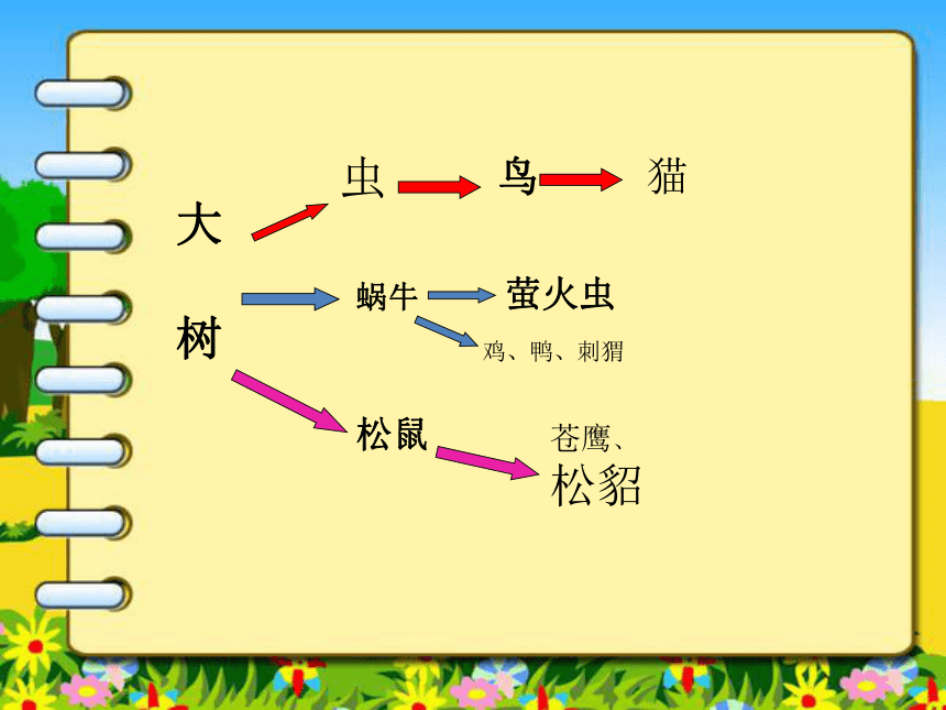 1.4假如大树都倒下 课件