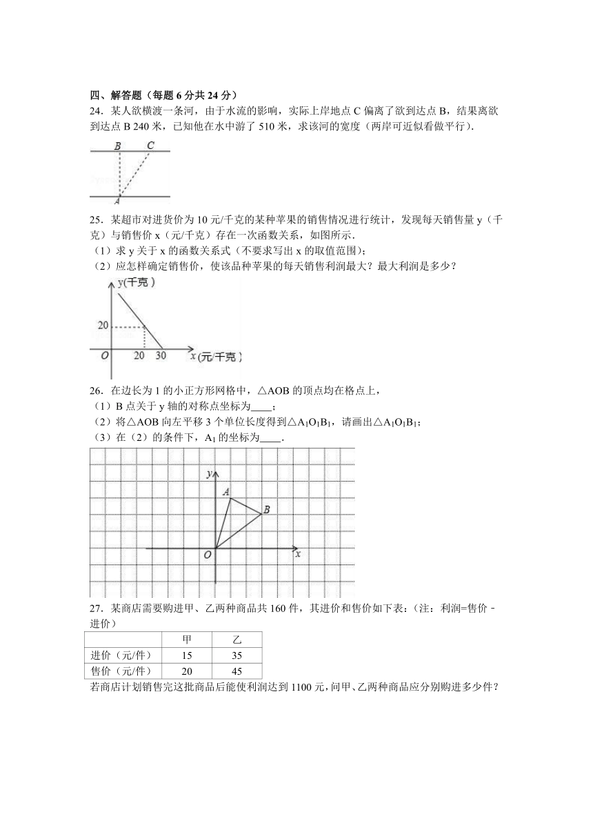 云南省文山州富宁县洞波中学2016-2017学年八年级（上）期中数学试卷（解析版）