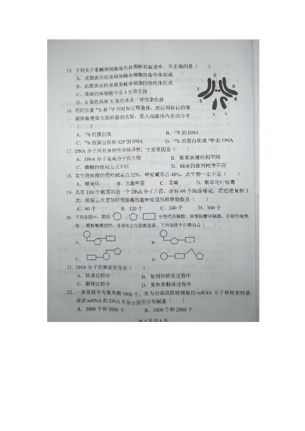 湖南省新宁县二中2018-2019学年第二学期高一第三次月考生物试卷（图片版含答案）