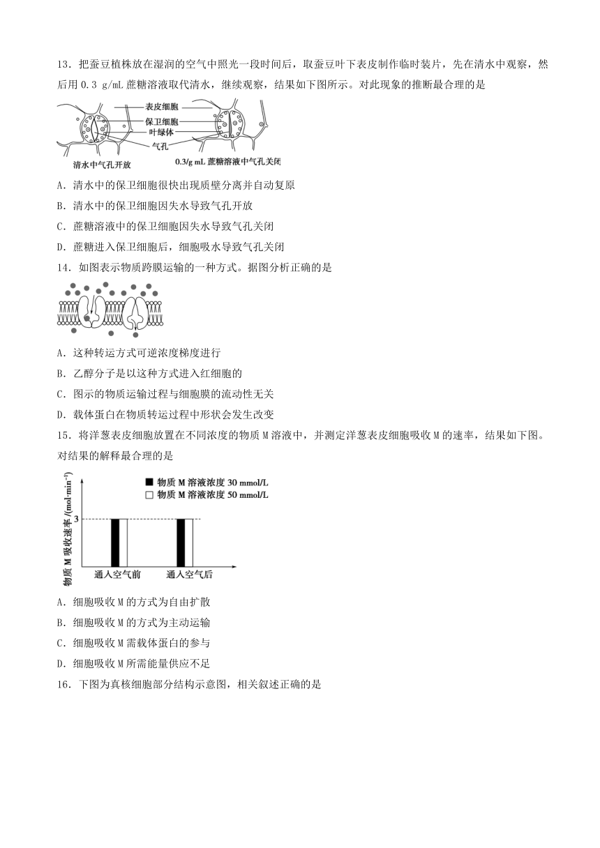 云南省玉溪市一中2019届高三上学期第二次调研考试生物试题