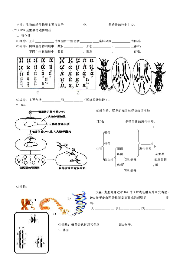 4.4.1 遗传的物质基础 学案（含答案）