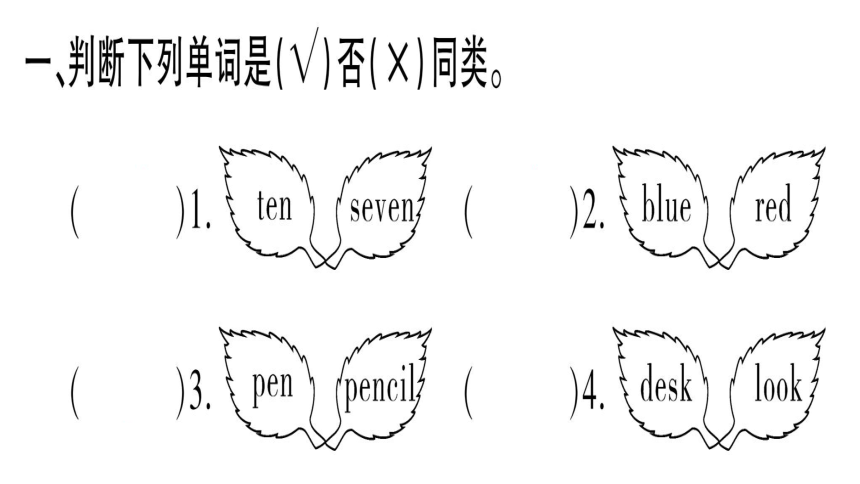 Module 6 Unit 2 How old are you? 习题课件