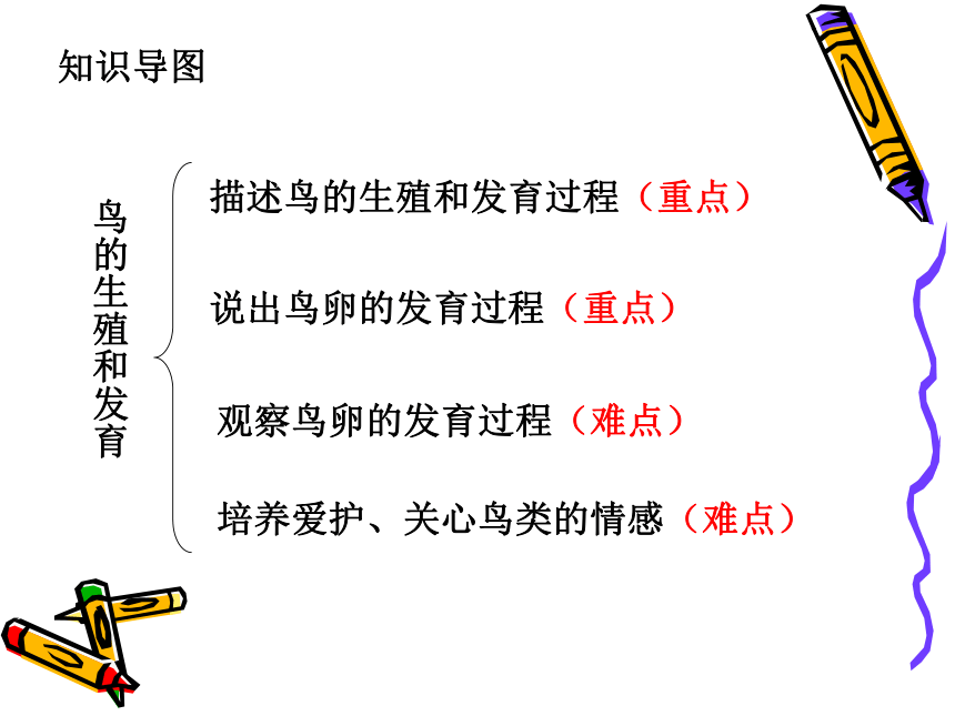 苏教版八年级下册生物 21.5鸟类的生殖与发育 课件（17张PPT）