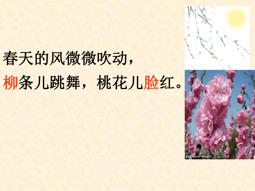 春天在哪里