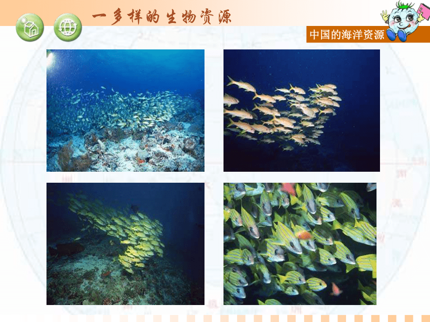 湘教版八年级地理上册课件：第三章第四节中国的海洋资源 （共36张PPT）