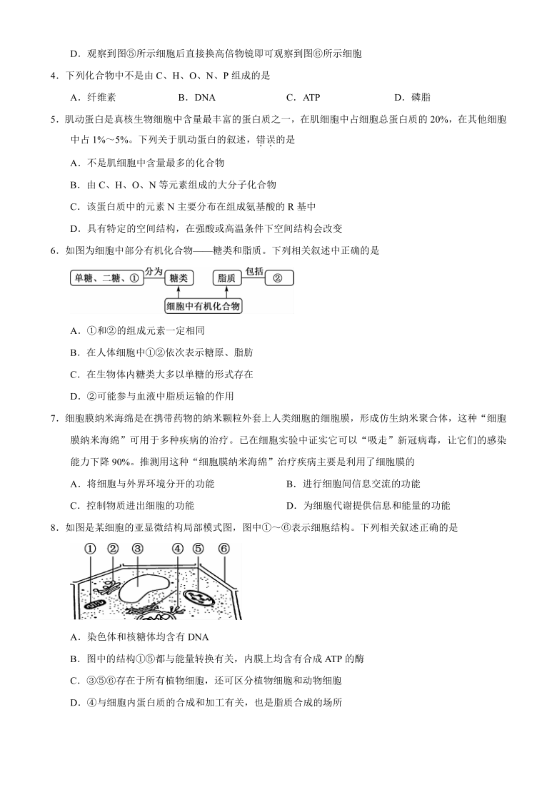 河南省名校联盟2020-2021学年高一上学期1月联考生物试题  含解析