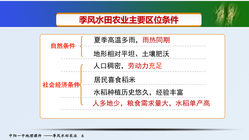 人教版高中地理必修二3.2《季风水田农业》课件（14张）