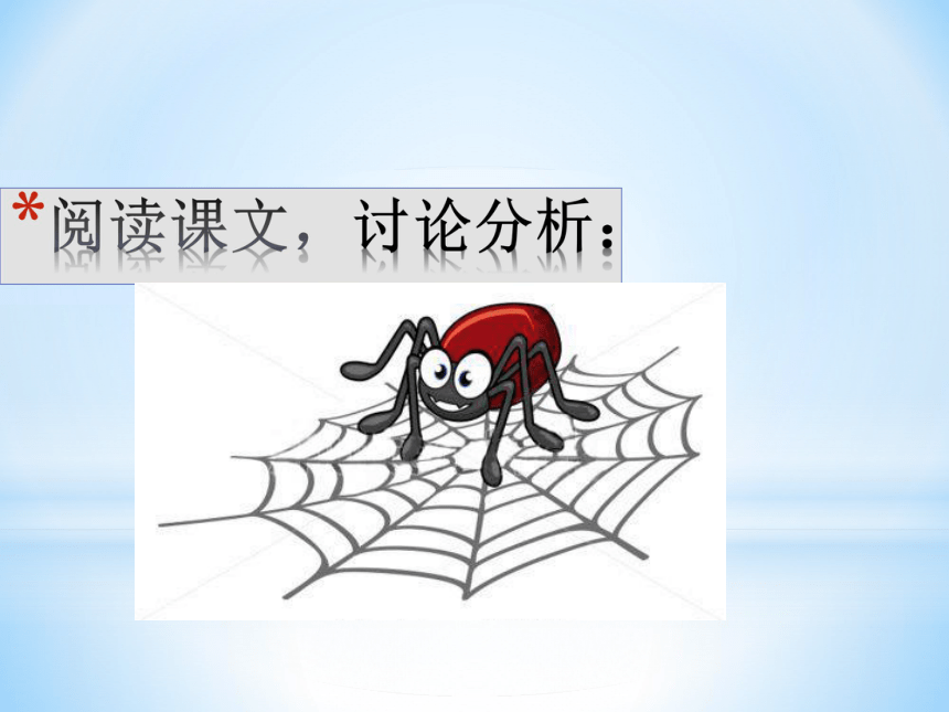 14-蜘蛛 课件