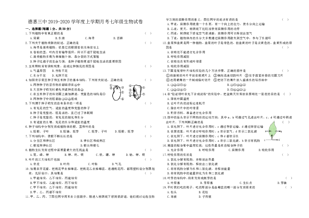 吉林省德惠三中2019——2020学年度上学期七年级12月月考生物试卷