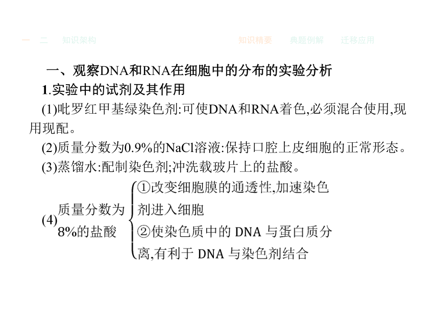 人教版生物必修1同步教学课件：2.3 遗传信息的携带者——核酸