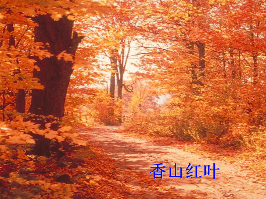 高中语文高二年级下华东师大版1.1《故都的秋》课件（107张）