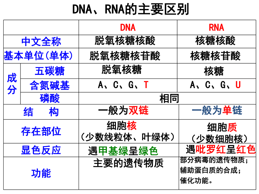 人教版高一生物必修二（课件）4.1基因指导蛋白质的合成 （共62张PPT）