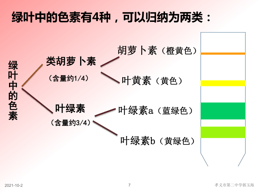 2021—2022学年 高一上学期 人教版  必修1  第4节 能量之源——光与光合作用  课件（54张PPT）