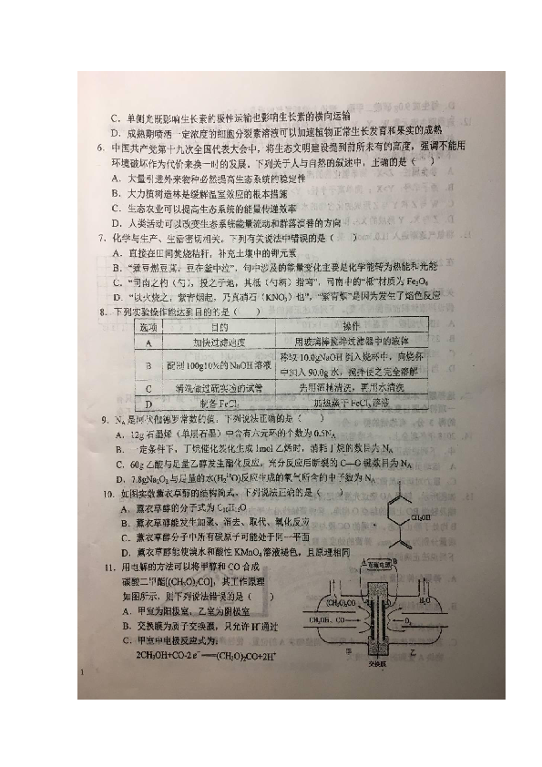 安徽省六安市第一中学2019届高三下学期高考仿真训练（一）理科综合试题 扫描版含答案