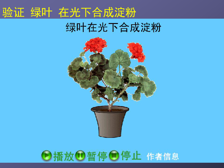 京改版七上生物  4.2 绿色植物的光合作用 课件 (18张PPT)