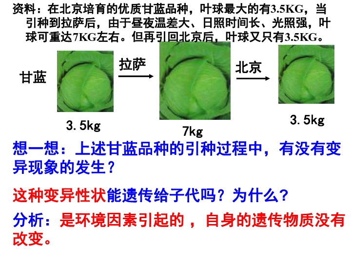 人教版高中生物必修二第5章第1节基因突变和基因重组 课件共44张PPT