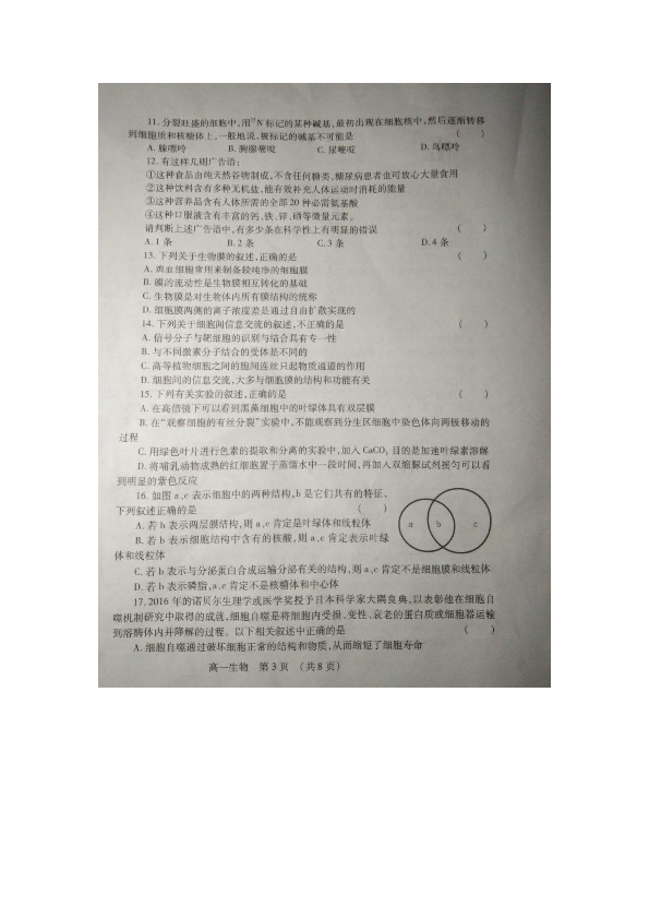 2018-2019学年河南省鹤壁市高一上学期期末考试生物试题 扫描版
