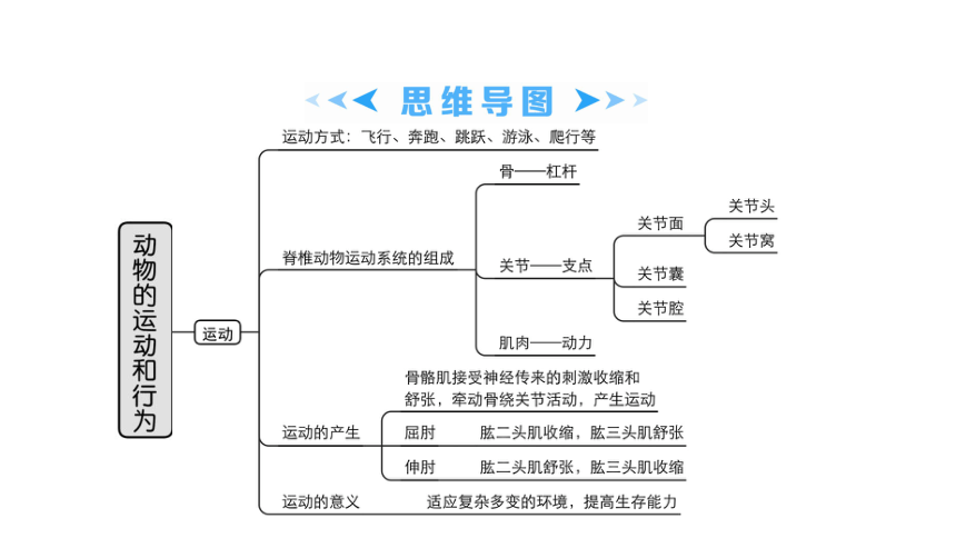 2022年中考生物一轮复习课件主题5动物的运动和行为63张ppt