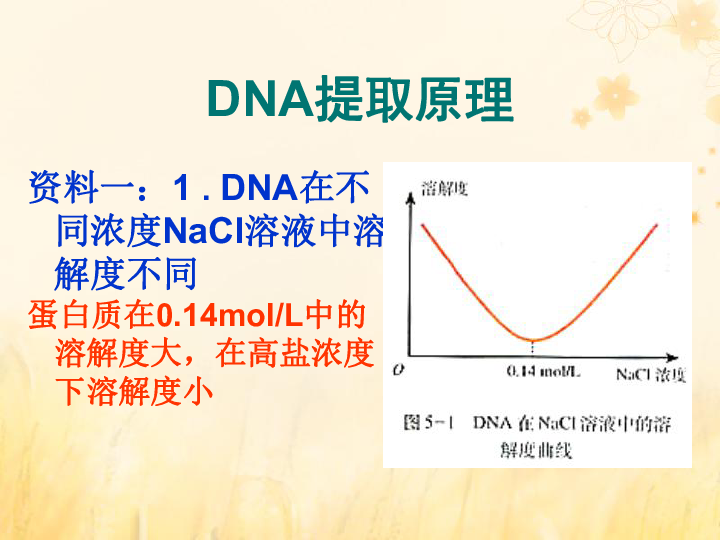 高中生物人教版选修1第5章DNA和蛋白质技术5.1DNA的粗提取与鉴定课件（21张）