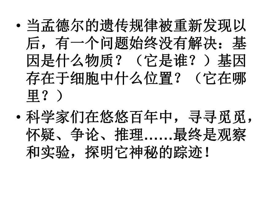 减数分裂(山东省荷泽地区菏泽市)