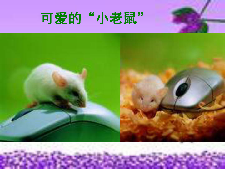 2可爱的鼠标 课件（13张幻灯片）