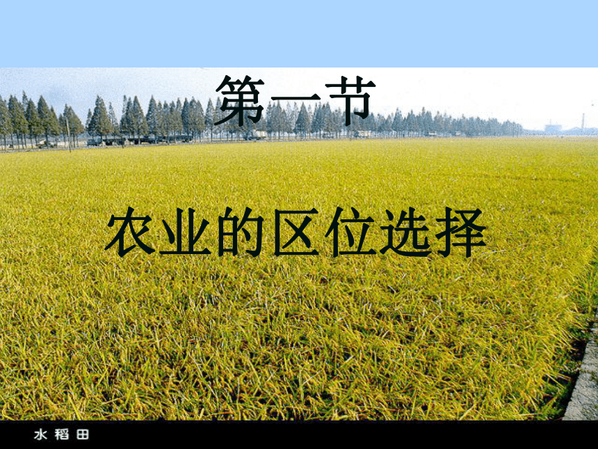 河南省洛阳市宜阳县第一高级中学人教版必修二地理课件：第三章 第一节 农业的区位选择 (共15张PPT)