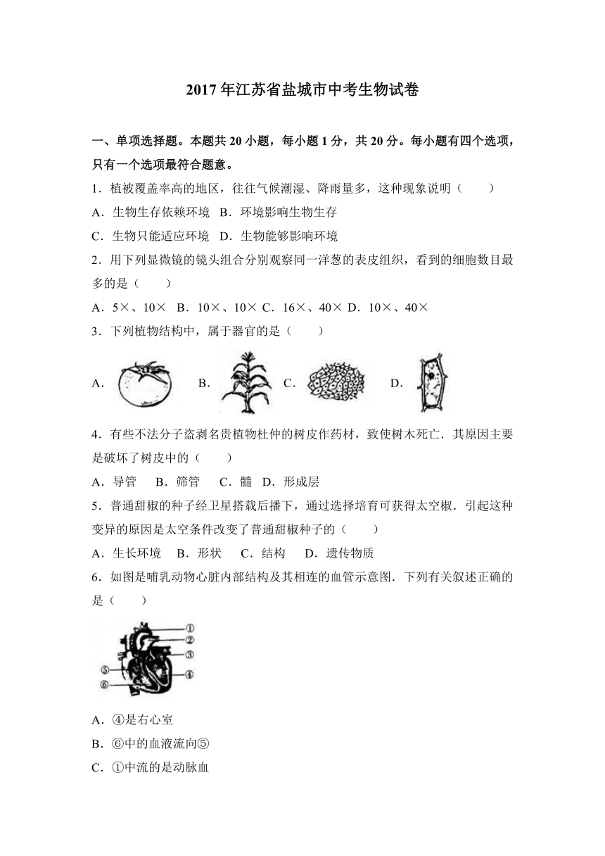 2017年江苏省盐城市中考生物试卷（解析版）