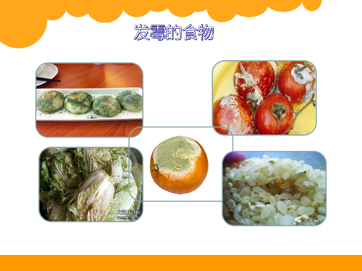 四年级下册科学课件 3.6减慢食物变质的速度 教科版 (共21张PPT)