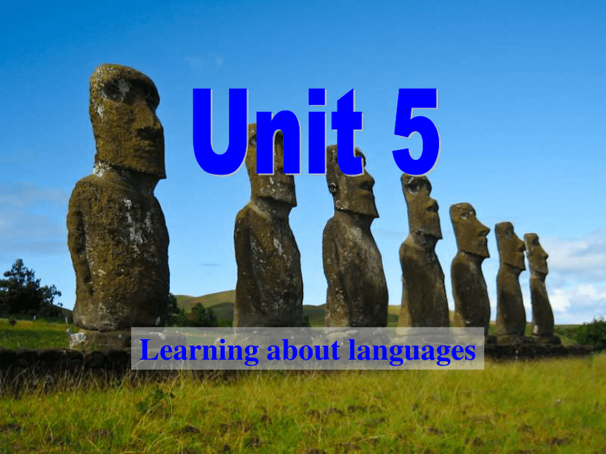 Unit 5 Meeting your ancestors Learning about Language 课件（25张）